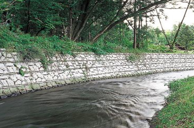 生態(tài)修復(fù)技術(shù)